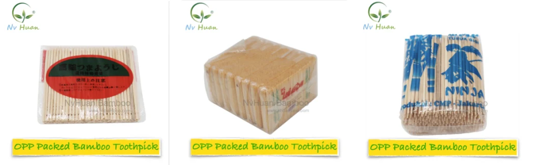 Loose Bamboo Toothpicks